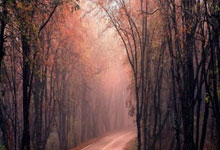 阿森纳门将贡献连串救球，关键时刻挽救球队