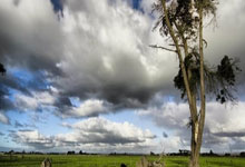 阿森纳门将贡献连串救球，关键时刻挽救球队