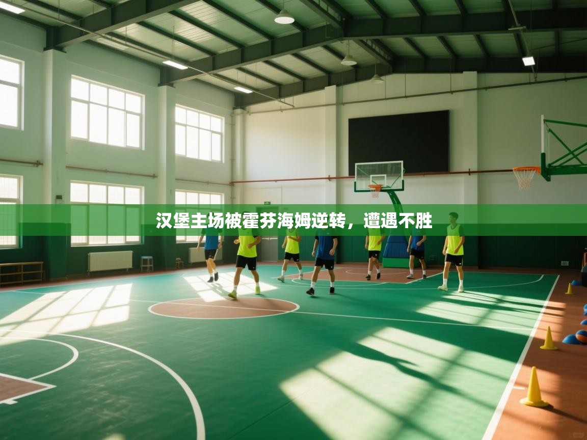 汉堡主场被霍芬海姆逆转，遭遇不胜